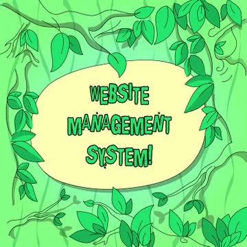 Handwriting text Website Management System. Concept meaning way to analysisage Stock Illustration