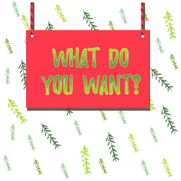 Handwriting text What Do You Want Question. Concept meaning say or write in Stock Illustration