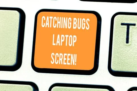 Handwriting text writing Catching Bugs Laptop Screen. Concept meaning Computer Stock Photos