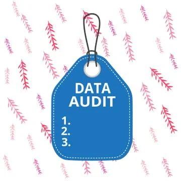 Handwriting text writing Data Audit. Concept meaning auditing of data to assess Illustrazione stock