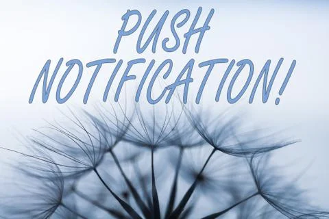 Handwriting text writing Push Notification. Concept meaning automated message Stock Photos