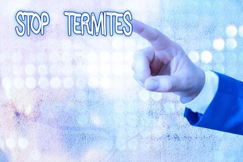 Handwriting text writing Stop Termites. Concept meaning prevent a small tropical Foto stock