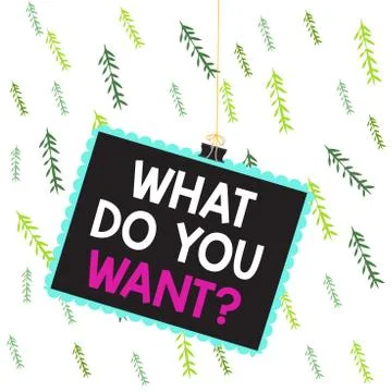 Handwriting text writing What Do You Want Question. Concept meaning say or write Stock Illustration