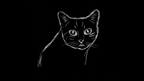 Handwritten animation of a cat on a black background Stock Footage 285665905