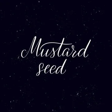 Handwritten calligraphy text, chalk on a blackboard Stock Illustration