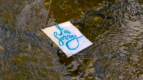 Handwritten I'm Sorry Message Floating Away on a River Stock Footage 335634454