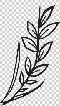 Handwritten leaf pattern Stock Photos