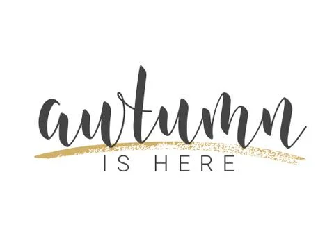 Handwritten Lettering of Autumn Is Here. Vector Illustration. Stock Illustration