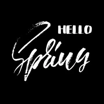 Handwritten lettering. Hello spring. Hand drawn calligraphy letters. Vector Illustrazione stock