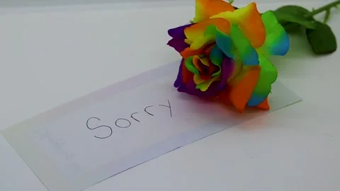 Sorry Note Stock Videos – Royalty-Free HD & 4K Videos | Pond5