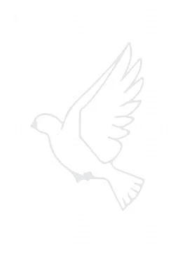 Handwritten Study Notes on Paper – Education and Learning Concept Stock Illustration