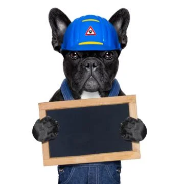 Handyman dog Stock-Fotos