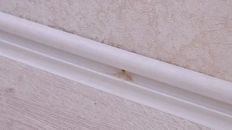 Handyman drilling hole and installing white baseboard Stock Footage 326147785