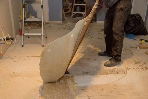 Handyman during work of removing old laminate flooring with renovation old ho Stock Photos