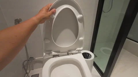 Handyman replace toilet seat hinge and rod. Stock Footage 335586391