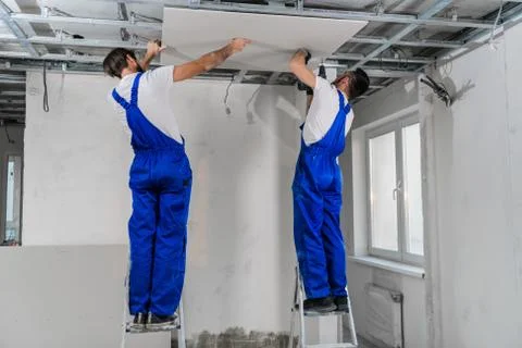 Handymen are assembling a plasterboard ceiling using a drill Stock Photos