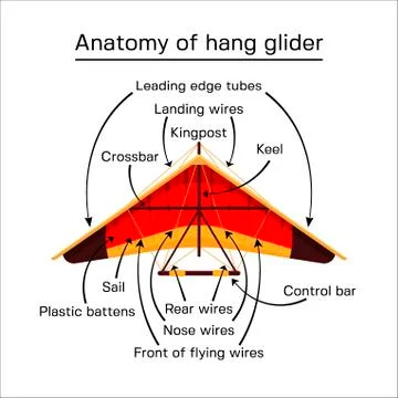 Hang glider anatomy vector flat style illustration 스톡 일러스트