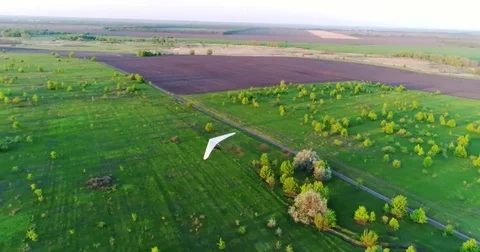 Hang glider flight in sunset time Stock Footage 83750566