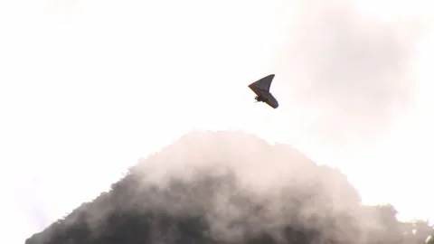 Hang-glider flying around the sky - September 15th, 2010 Stock Footage 314065702