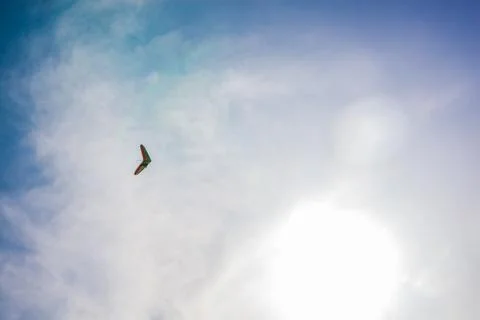 The hang glider Stock Photos