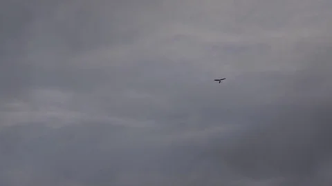 Hang glider in the sky 動画素材 70517943
