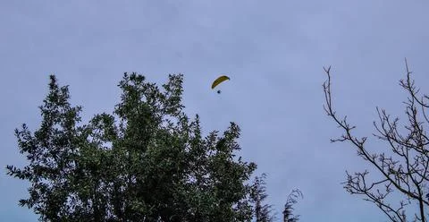 Hang gliding flying over trees Stock Photos