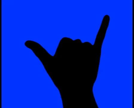 Hang loose V7 - PAL Stock Footage 10754893