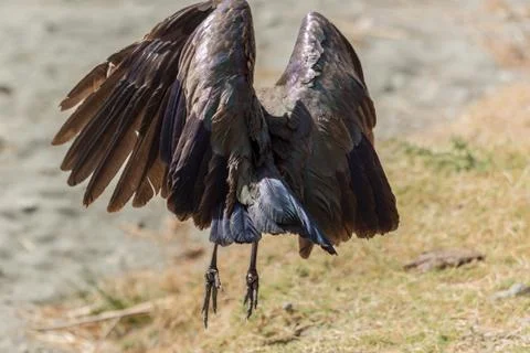 Hang up 스톡 사진