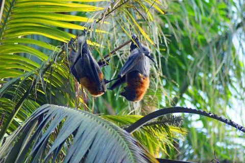 Hang time hello Stock Photos