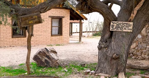 Hang Tree Stock Footage 123610168