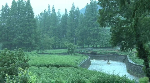 Hang Zhou Tea Fields and Tea House 2 Stock Footage 329561