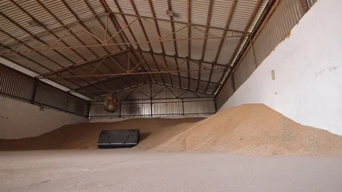 Hangar storage whith wheat grain Stock Footage 122914479