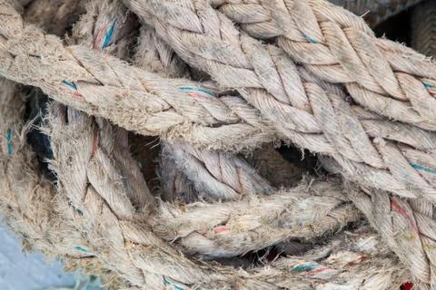 Hanged ropes Stock Photos