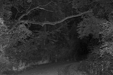 The Hangin' Tree Foto stock