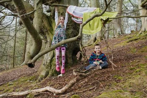 Hanging Around In The Forest Stockfoto's