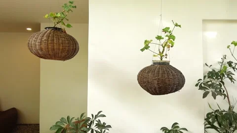 Hanging Baskets Stock Footage 284377288