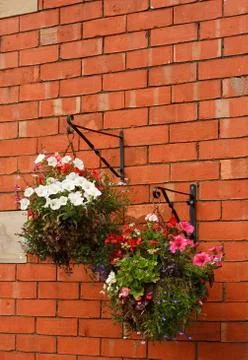 Hanging baskets Stock Photos