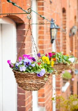 Hanging baskets Stock-Fotos