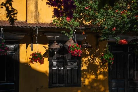 Hanging baskets of red flowers decorating a rustic yellow heritage house facade 스톡 사진