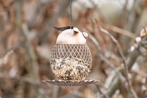 Of a hanging bird feeder Stock Photos