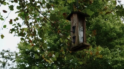 A Hanging Birdhouse Stock Footage 163542599