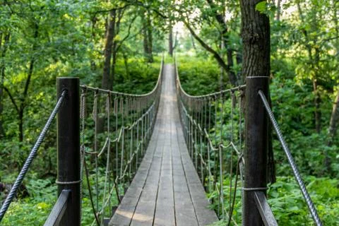 Hanging bridge deep in dark forest in the summer evening Stock Photos