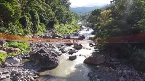 Hanging bridge over the river Stock Footage 185281295