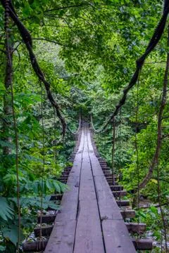 Hanging bridge over the river Stock Photos