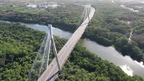 Hanging Bridge over a River: A Stunning Aerial View Stock Footage 236530204