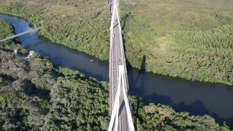 Hanging Bridge over a River: A Stunning Aerial View Stock Footage 236531049