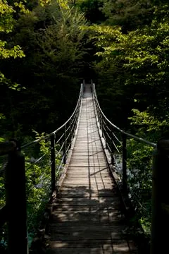 Hanging bridge Stock-Fotos