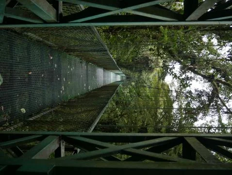 Hanging bridge Stock Photos