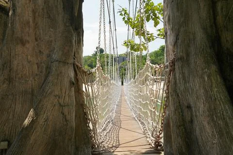 Hanging Bridge View from Two Trees at Sentosa Island Stock Photos