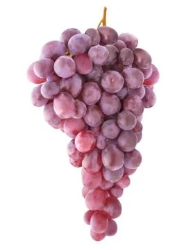 Hanging bunch of rose grape Stock Photos